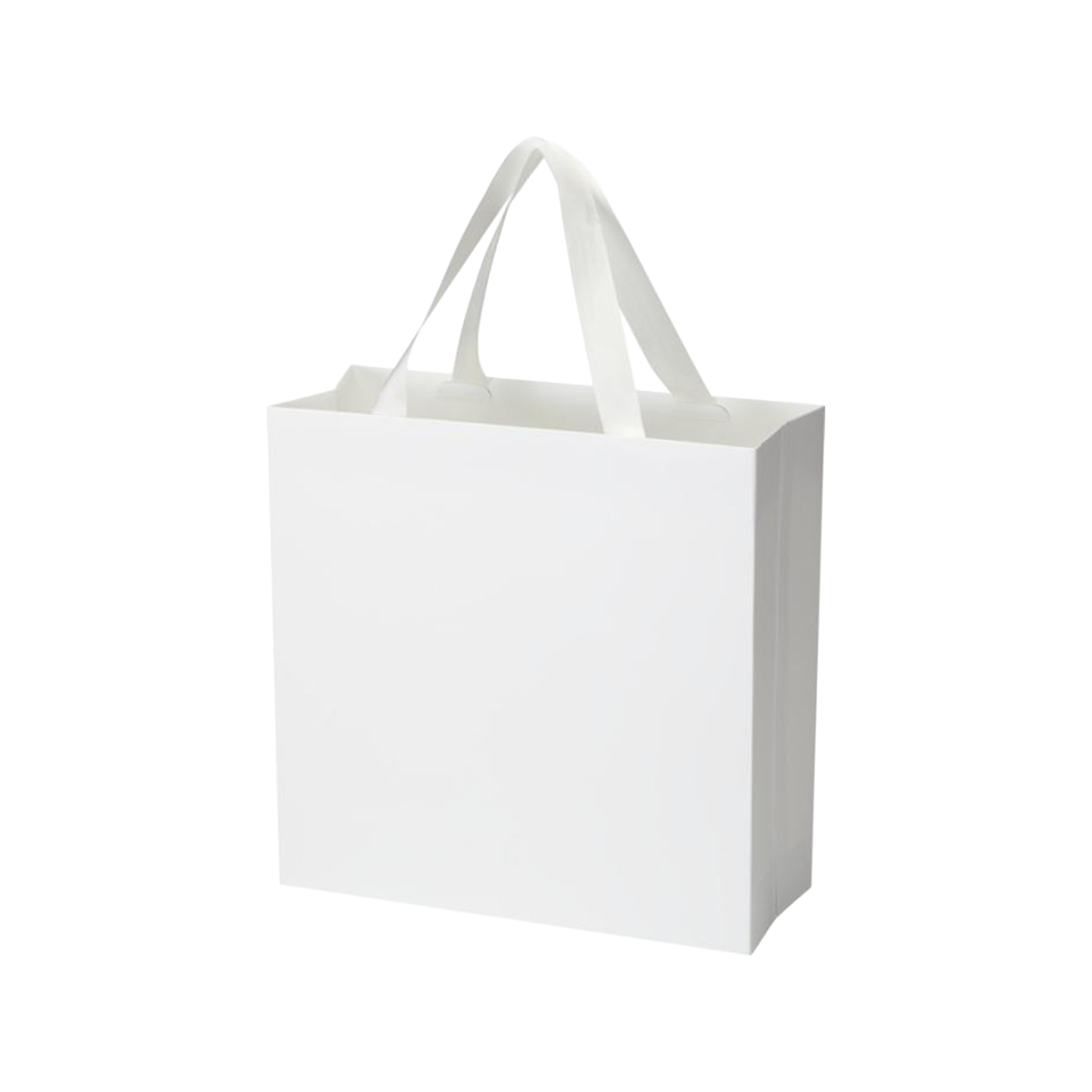 Laminated paper gift bag (31 × 12 × 31 cm)